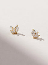 Gold Stud Earrings - Kennedy