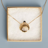 Seashell Bottle Necklace