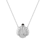 Seashell Bottle Necklace
