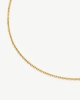 Long Trace Chain Necklace | 18ct Gold Plated